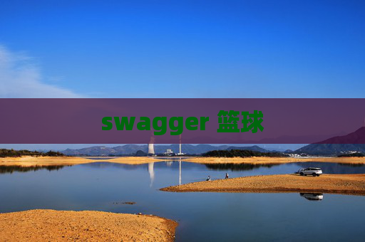 swagger 篮球